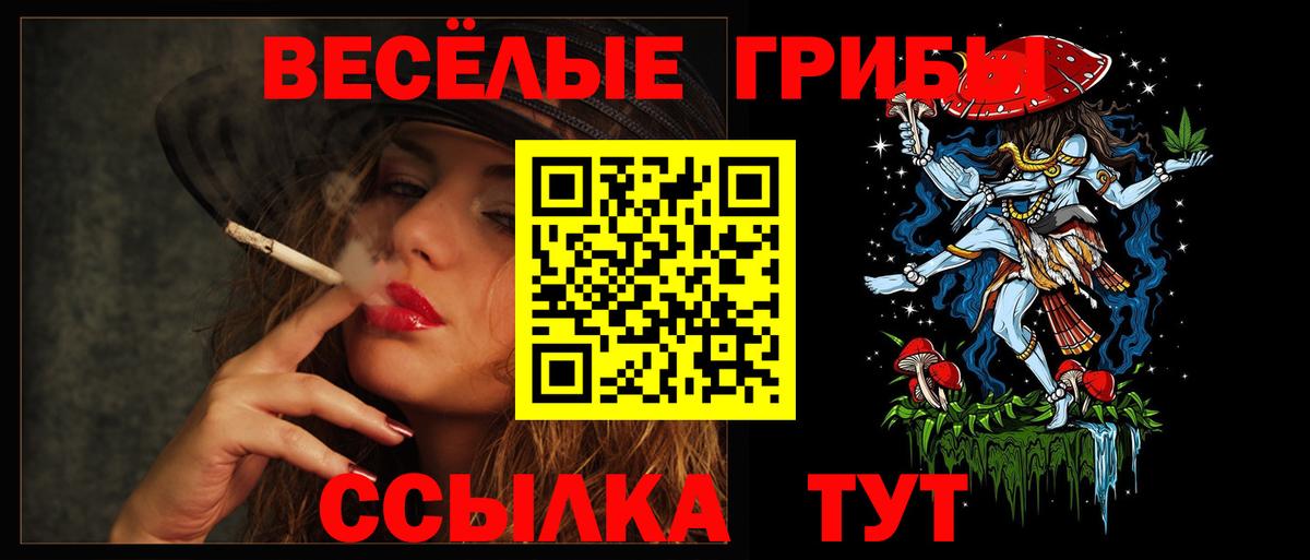 Псилоцибиновые грибы Psilocybe Кашира